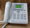 Netfon 100  Seltatel 2008